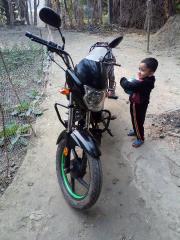 Zaara 100